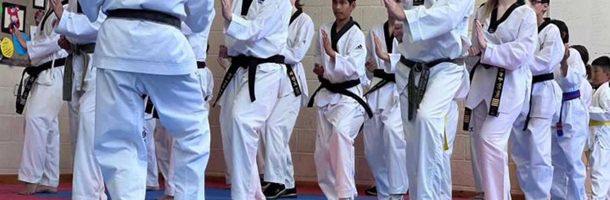 Adults benefit from and enjoy our classes