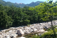 20180720_092551-Copy