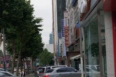 DSC08635