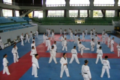 DSCF1290