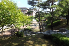 DSCF0337