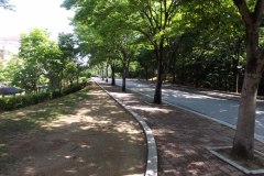 DSCF0338